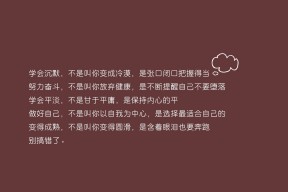 华体会登陆-极光与铁骑的碰撞，2026世界杯冰岛战塞尔维亚，费利克斯一剑封喉
