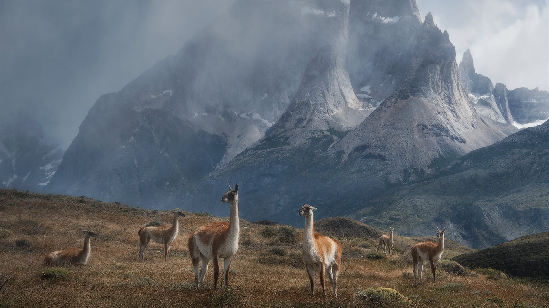 华体会体育-绿茵场上的双重奏鸣,牙买加掀翻贝蒂斯与福登的高光启示 第2张 华体会体育-绿茵场上的双重奏鸣,牙买加掀翻贝蒂斯与福登的高光启示 第2张