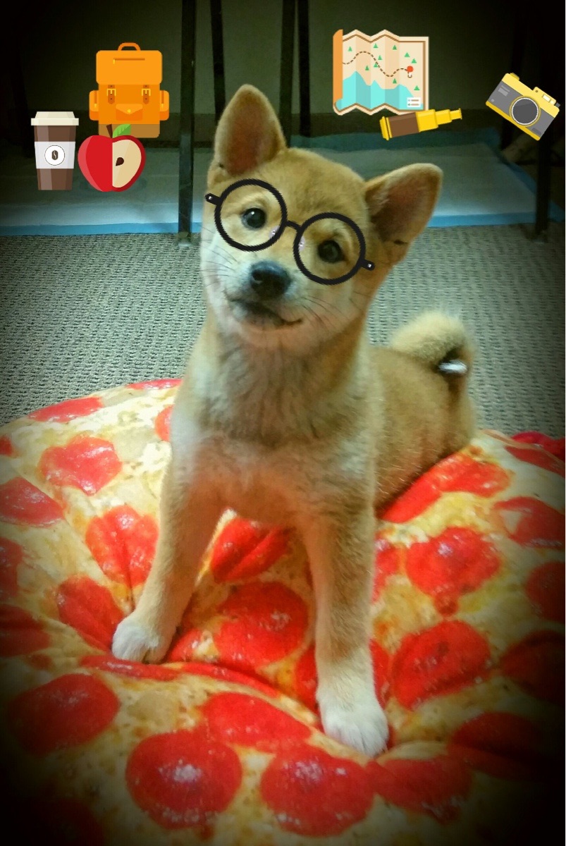 华体会下载-北欧双星启示录，当哈兰德震撼世界，瑞典正以铁血定义硬仗新解  第2张