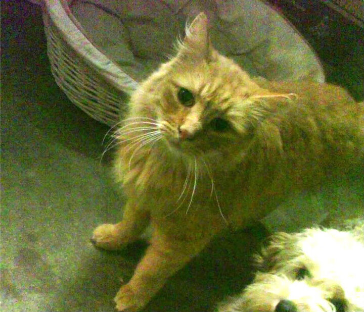 华体会体育-掀翻地壳的运动，奇才队如何重新定义NBA的年度焦点之战  第2张