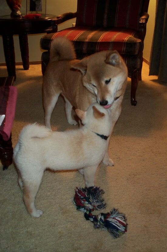 华体会官网-数据揭秘,一个平凡的意式中卫,如何上演19年首见的拜仁克星神迹? 第2张 华体会官网-数据揭秘,一个平凡的意式中卫,如何上演19年首见的拜仁克星神迹? 第2张